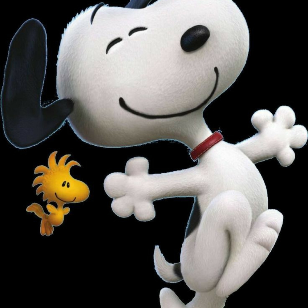 Meet your Posher, Lynette